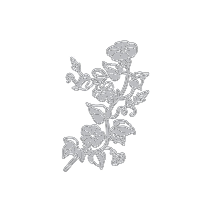 Morning Glory Die