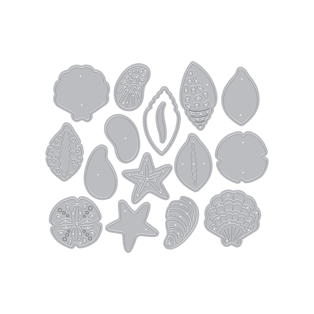 Sophisticated Shells Etched Die Set
