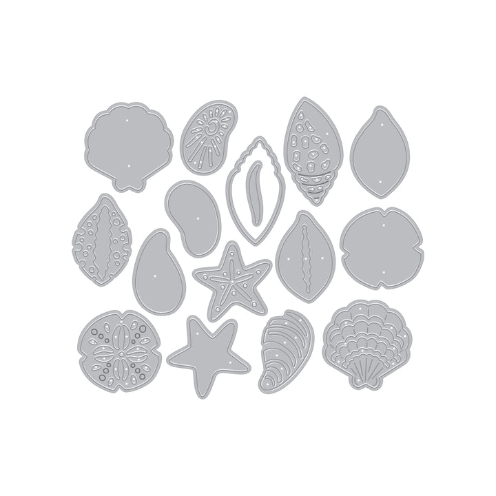 Sophisticated Shells Etched Die Set