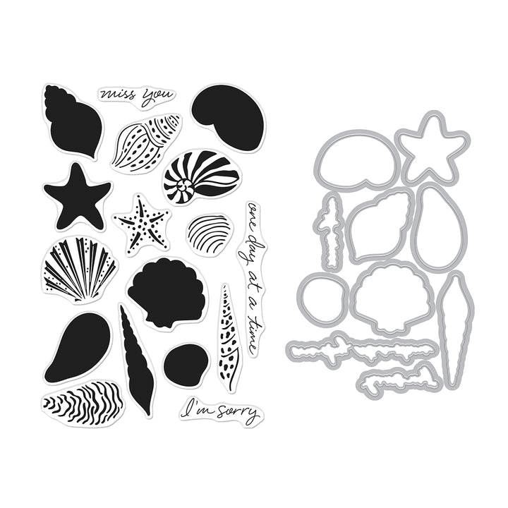 Seashells Stamp & Cut Set of the Month - June 2025