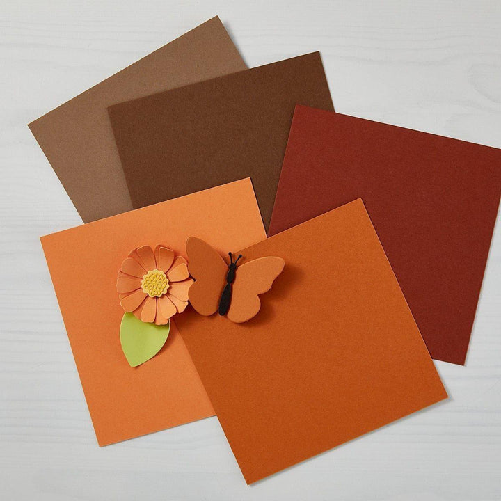Acorn ColorWheel Cardstock 12" x 12" - 10 Sheets